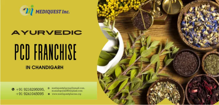 Ayurvedic PCD Franchise in Chandigarh