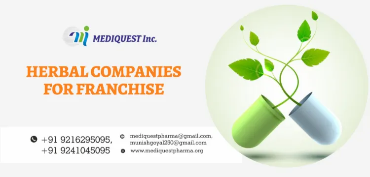 Herbal companies for franchise