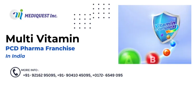 How to Get Multi Vitamin PCD Pharma Franchise