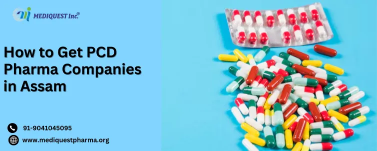 How to Get PCD Pharma Companies in Assam