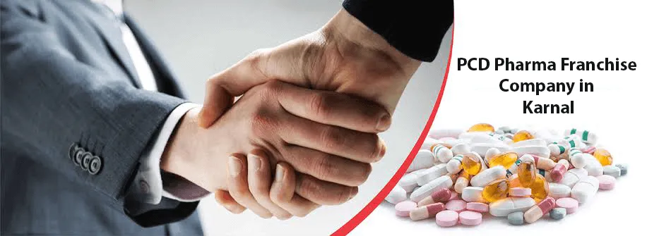 Pharma Franchise In Karnal
