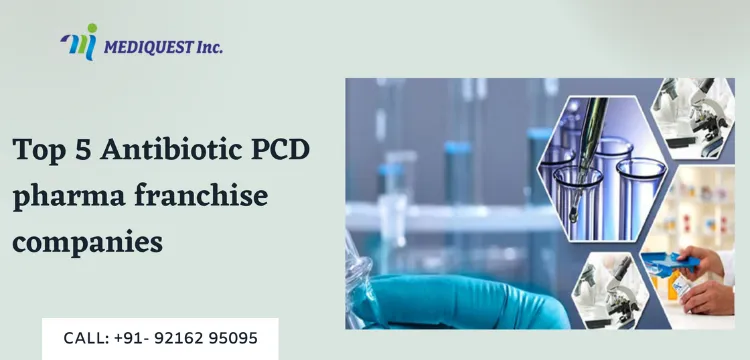 Top 5 Antibiotic PCD pharma franchise companies