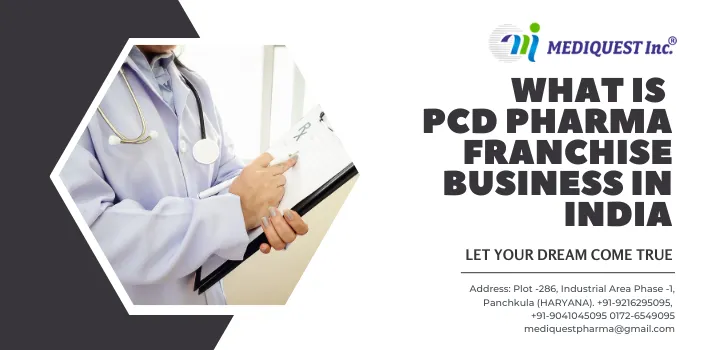 What is PCD Pharma Franchise Business in India