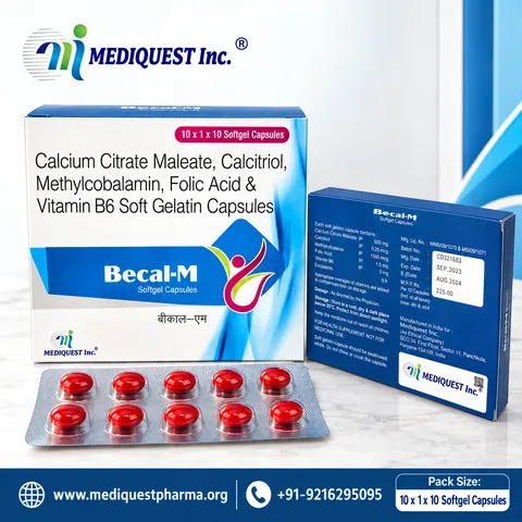 BECAL-M – picture 2