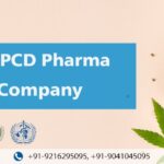 Ayurvedic PCD Pharma Franchise company